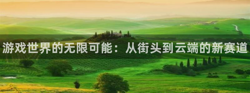 欧博娱乐注册平台：游戏世界的无限可能：从街头到云端的新赛道