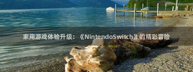 欧博娱乐平台负责人：家用游戏体验升级：《NintendoSw