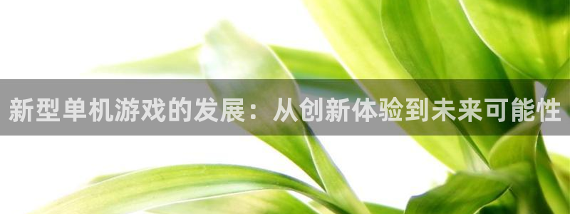 欧博娱乐下载：新型单机游戏的发展：从创新体验到未来可能性