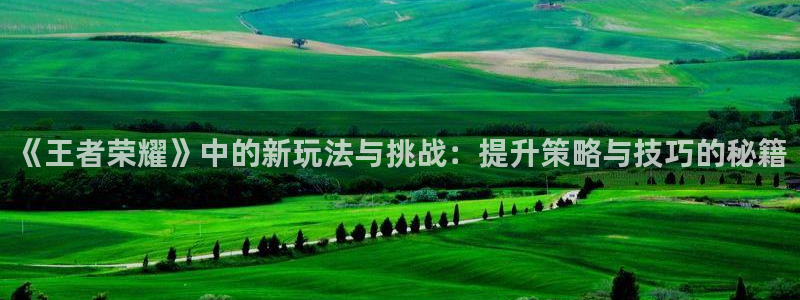 欧博娱乐平台负责人：《王者荣耀》中的新玩法与挑战：提升策略与