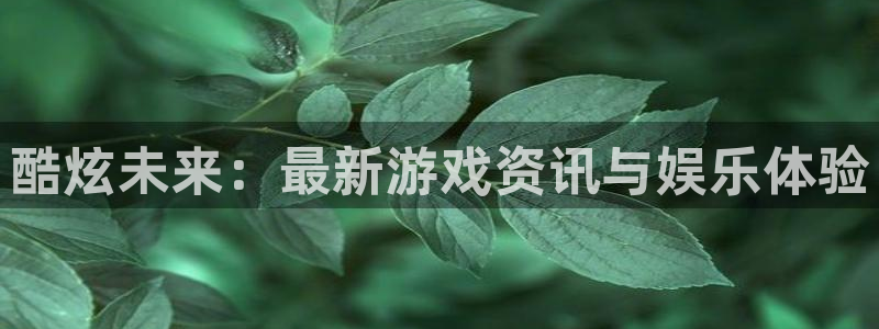 欧博娱乐平台负责人：酷炫未来：最新游戏资讯与娱乐体验