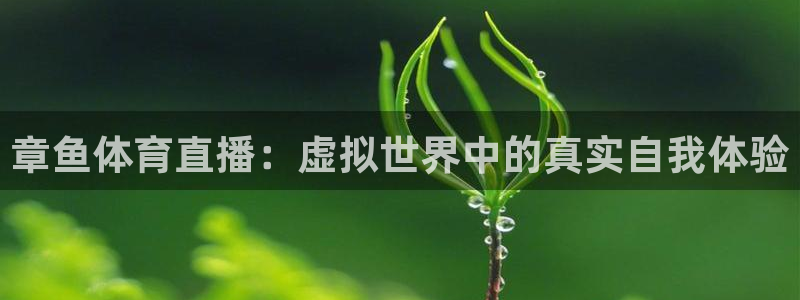 斗球体育在线直播：章鱼体育直播：虚拟世界中的真实自我体验