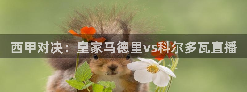 斗球直播app最新版本：西甲对决：皇家马德里vs科尔多瓦直播
